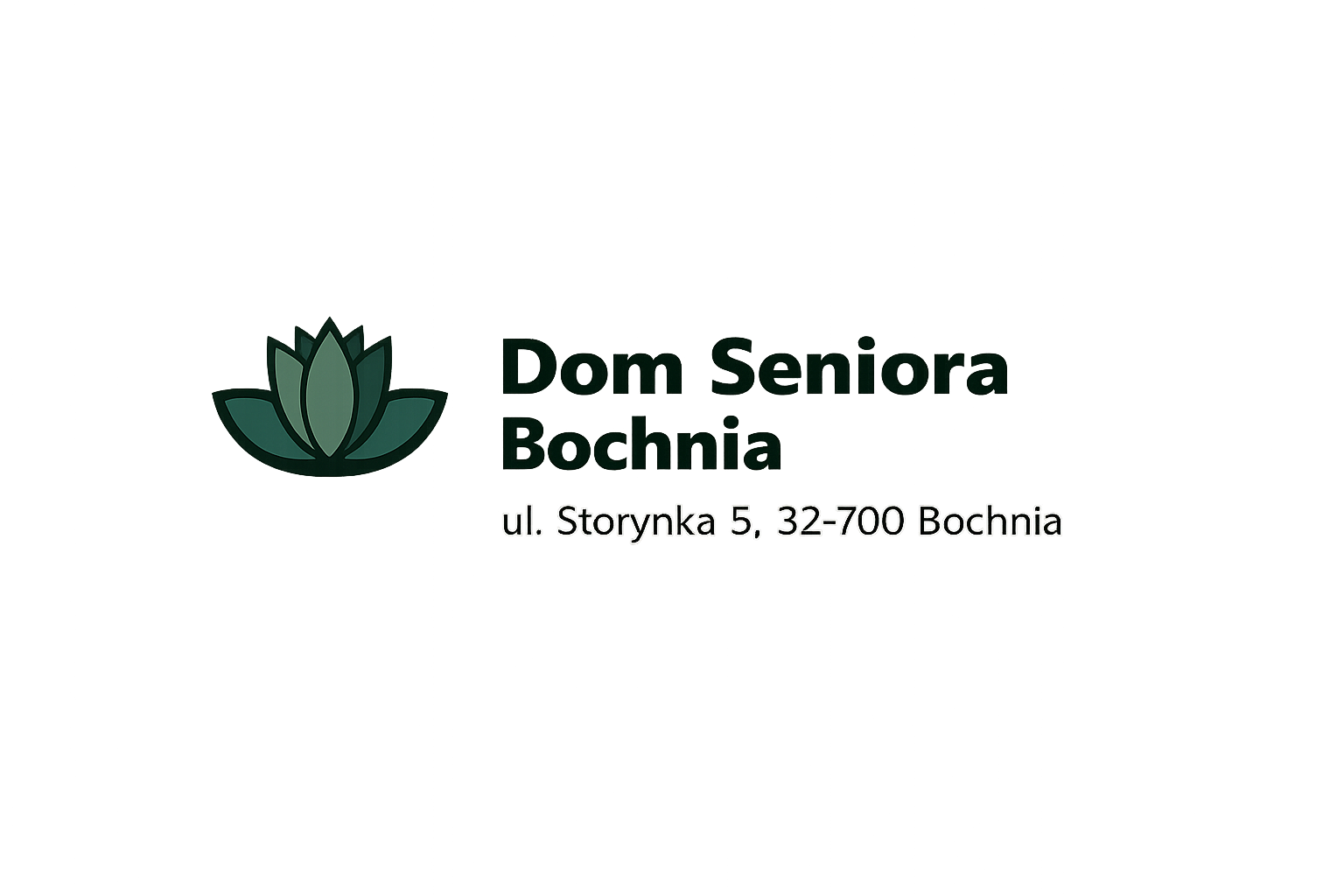 Logo Dom Seniora Bochnia